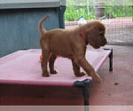Small #4 Breeder Profile image