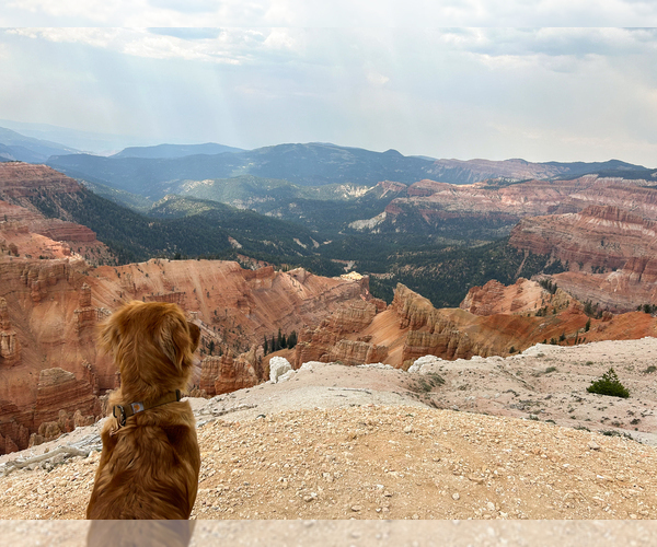 Medium Photo #19  Breeder Profile in CHINO VALLEY, AZ, USA