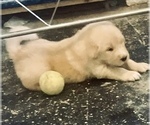 Small #11 Breeder Profile image