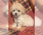 Small #22 Breeder Profile image
