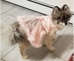 Small #8 Breeder Profile image