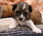 Small #38 Breeder Profile image