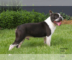 Small #4 Breeder Profile image