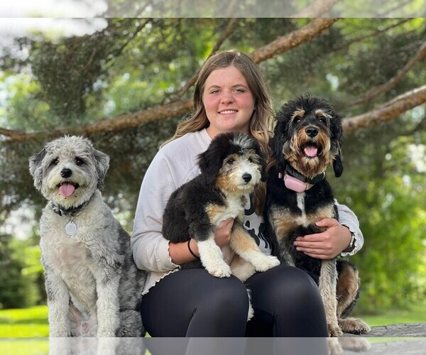 Medium Photo #1  Breeder Profile in LANCASTER, MN, USA