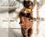 Small #113 Breeder Profile image