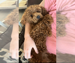 Small #17 Breeder Profile image