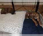 Small #24 Breeder Profile image