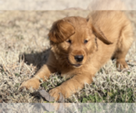 Small #1 Breeder Profile image