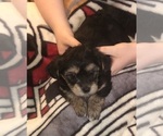 Small #43 Breeder Profile image