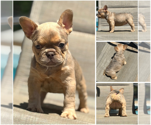 Medium Photo #3  Breeder Profile in BRIDGEWATER, MA, USA