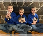 Small #35 Breeder Profile image