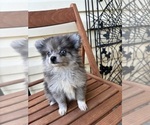 Small #11 Breeder Profile image