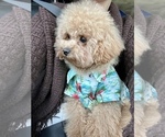 Small #11 Breeder Profile image