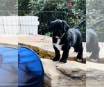Small #3 Breeder Profile image