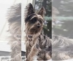 Small #5 Breeder Profile image