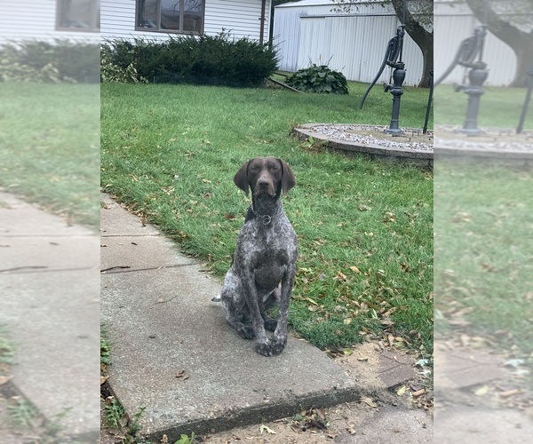 Medium Photo #2  Breeder Profile in WABASSO, MN, USA