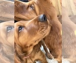 Small #11 Breeder Profile image