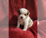 Small #89 Breeder Profile image