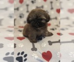 Small #6 Breeder Profile image