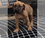 Small #5 Breeder Profile image