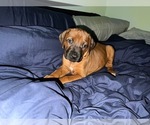 Small #46 Breeder Profile image