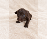 Small #8 Breeder Profile image