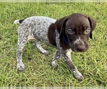 Small #17 Breeder Profile image