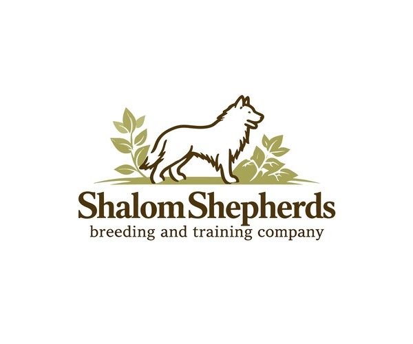 Medium Photo #1  Breeder Profile in SPRINGFIELD, MO, USA
