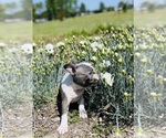 Small #3 Breeder Profile image