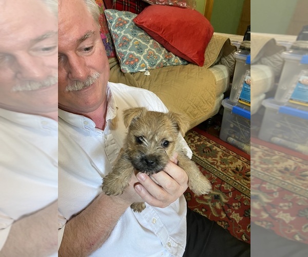 Medium Photo #2  Breeder Profile in ROCKFORD, IL, USA