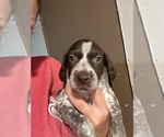 Small #4 Breeder Profile image