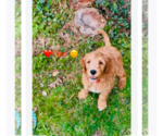 Small #3 Breeder Profile image