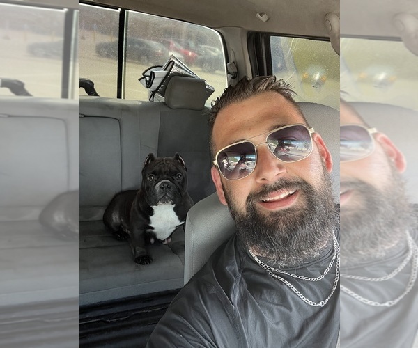 Medium Photo #1  Breeder Profile in CLARE, MI, USA