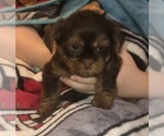 Small #17 Breeder Profile image