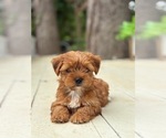 Small #1 Breeder Profile image