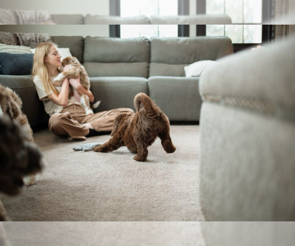 Medium Photo #36  Breeder Profile in SHIOCTON, WI, USA