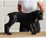 Small #3 Breeder Profile image