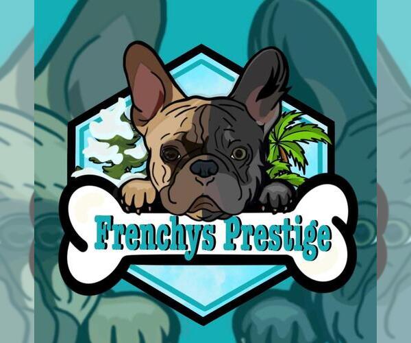 Medium Photo #1  Breeder Profile in PASSAIC, NJ, USA