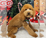 Small #7 Breeder Profile image
