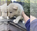 Small #9 Breeder Profile image