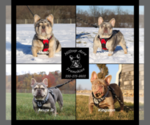 Small #1 Breeder Profile image
