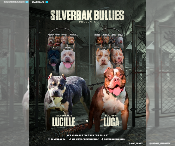 Medium Photo #1  Breeder Profile in CHAMPAIGN, IL, USA