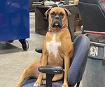 Small #4 Breeder Profile image