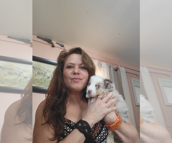 Medium Photo #1  Breeder Profile in WILLIAMSBURG, CO, USA