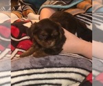 Small #25 Breeder Profile image