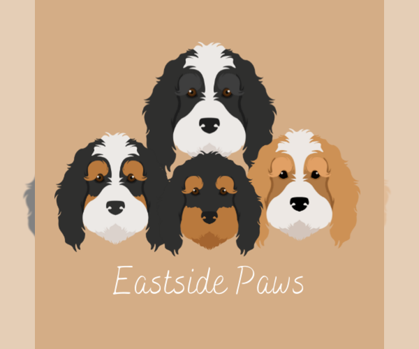 Medium Photo #1  Breeder Profile in PORT SAINT LUCIE, FL, USA
