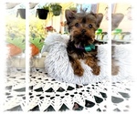 Small #1 Breeder Profile image