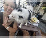 Small #2 Breeder Profile image