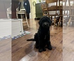 Small #5 Breeder Profile image