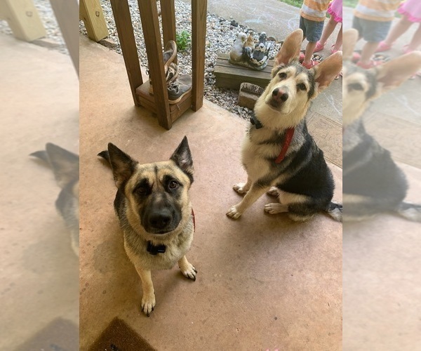 Medium Photo #1  Breeder Profile in MCDONOUGH, GA, USA